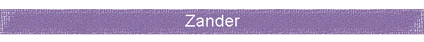 Zander